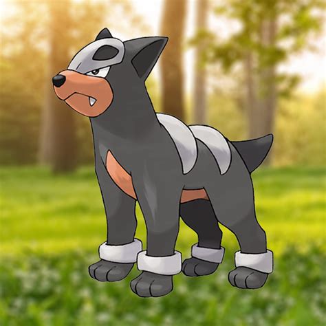houndour oras|Houndour (Pokémon) .